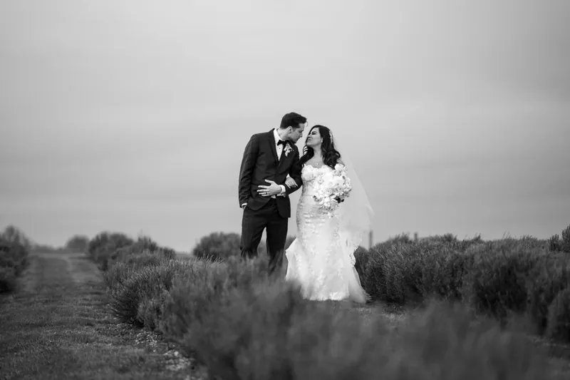 Just married, alone in the lavender field — Frederick, Maryland