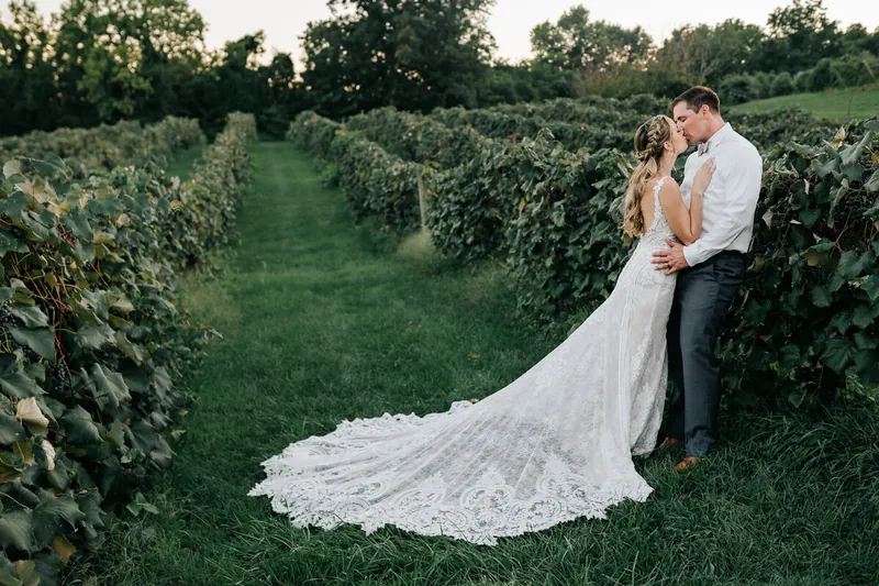 A kiss between the vineyard rows, the lace train laid out on the grass