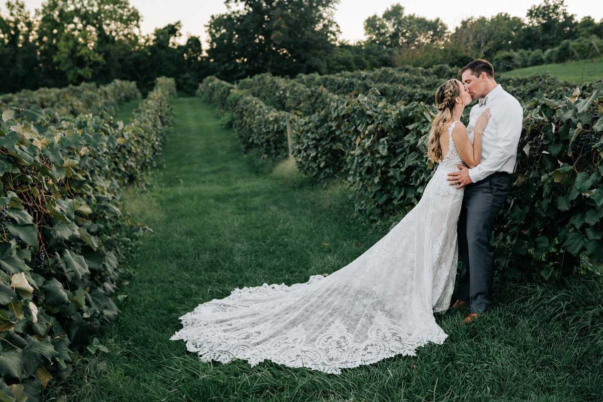 Maryland Virginia wedding — cinematic couples portrait at vineyard or estate