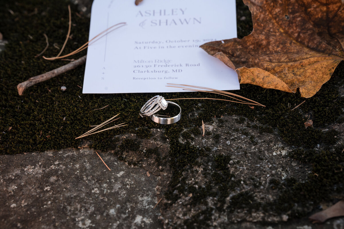 Maryland wedding portrait — editorial style at Frederick area venue