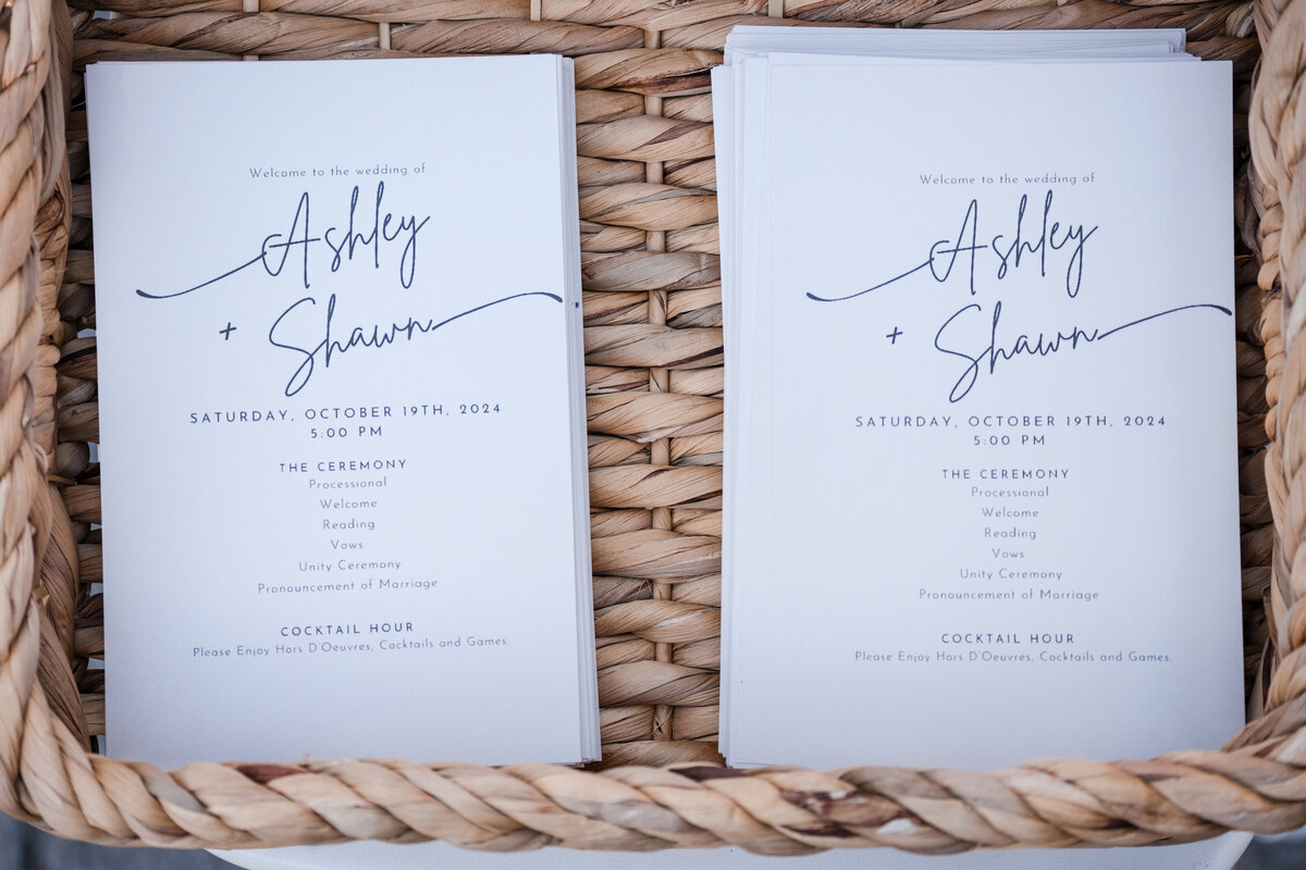 Northern Virginia wedding portrait