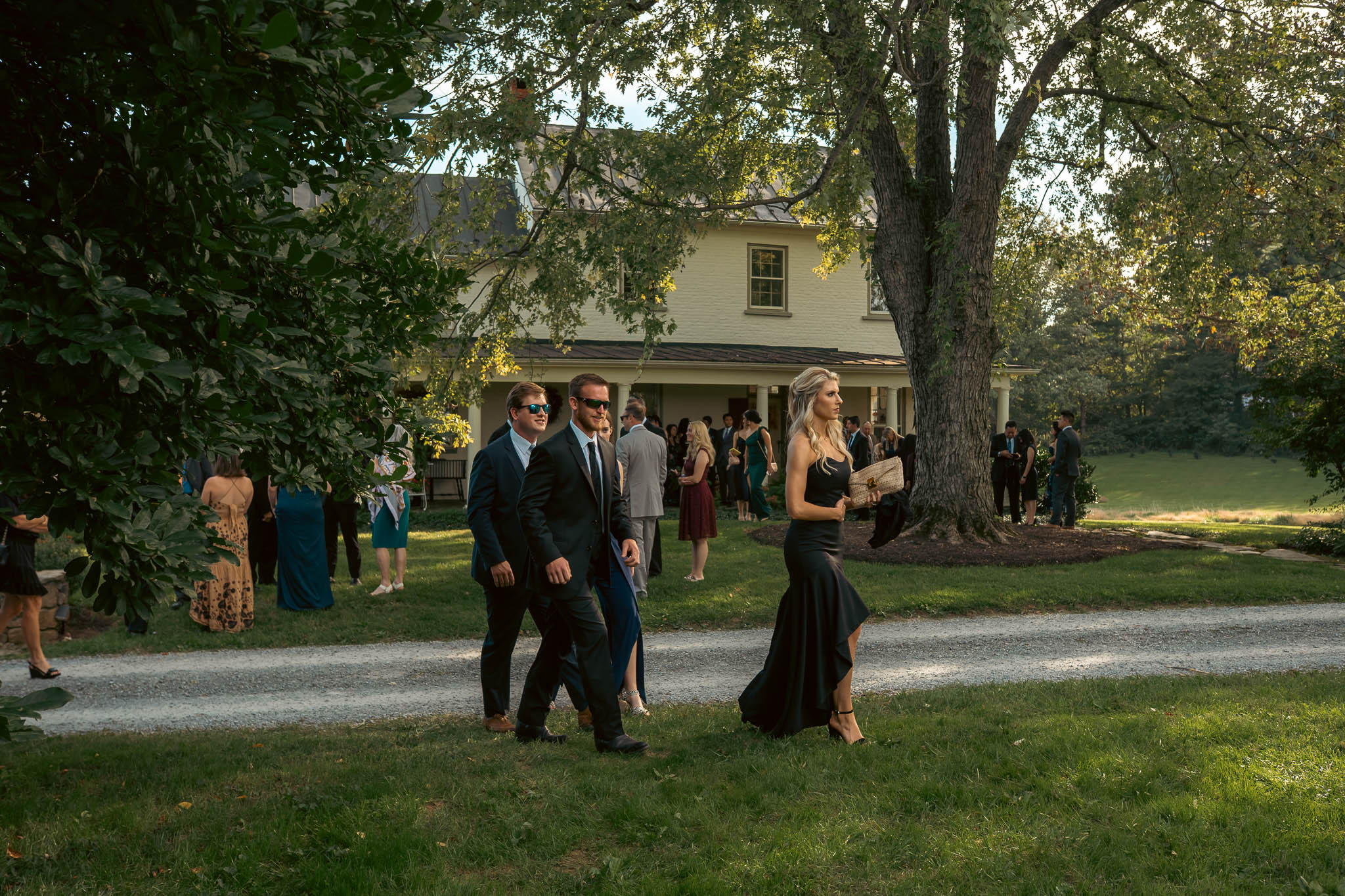 Guests gathering under the oaks before the ceremony — Sylvanside Farm wedding in Purcellville, Virginia
