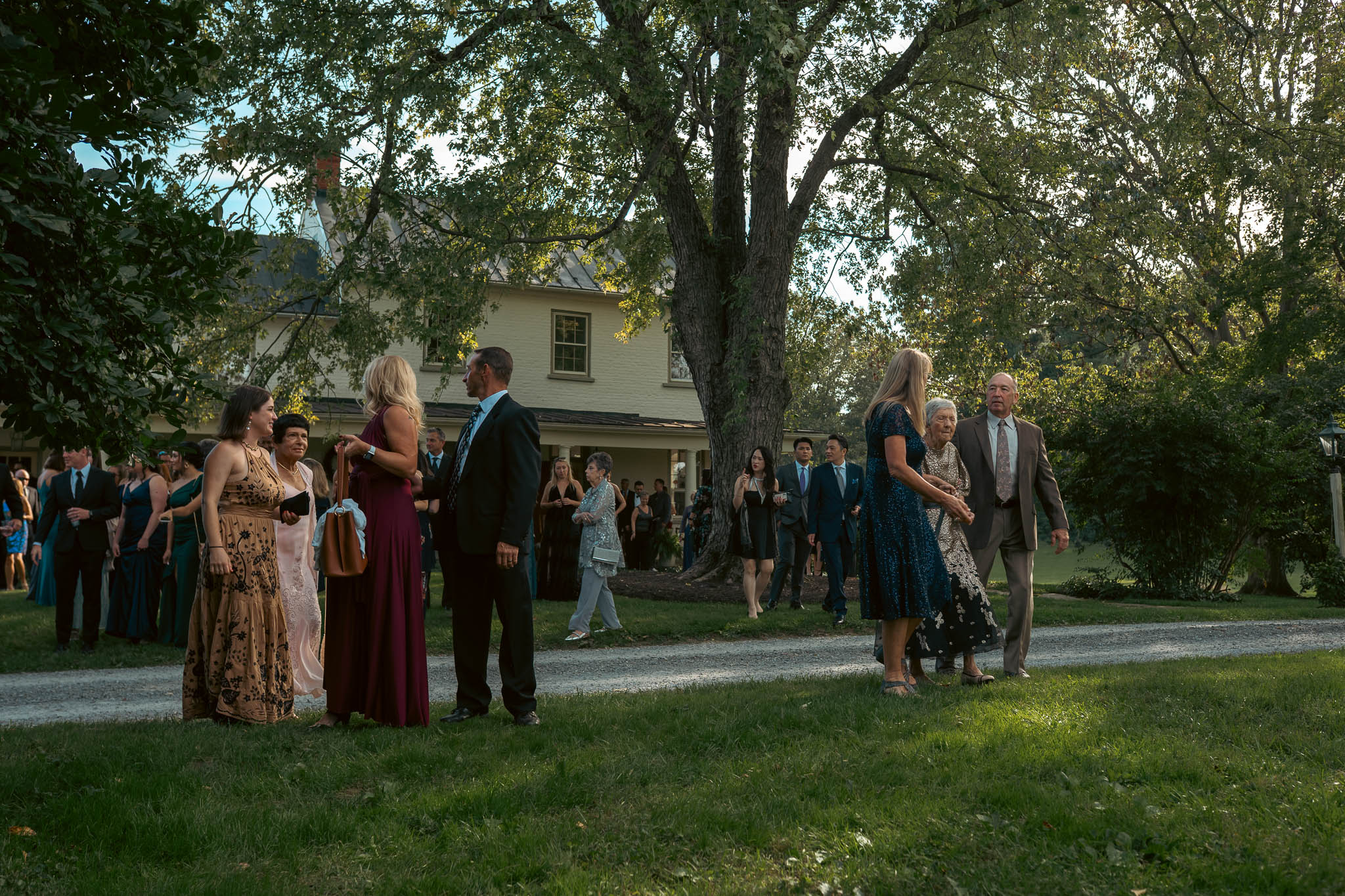 Wedding guests walking the farm lane to the ceremony — Sylvanside Farm wedding in Purcellville, Virginia