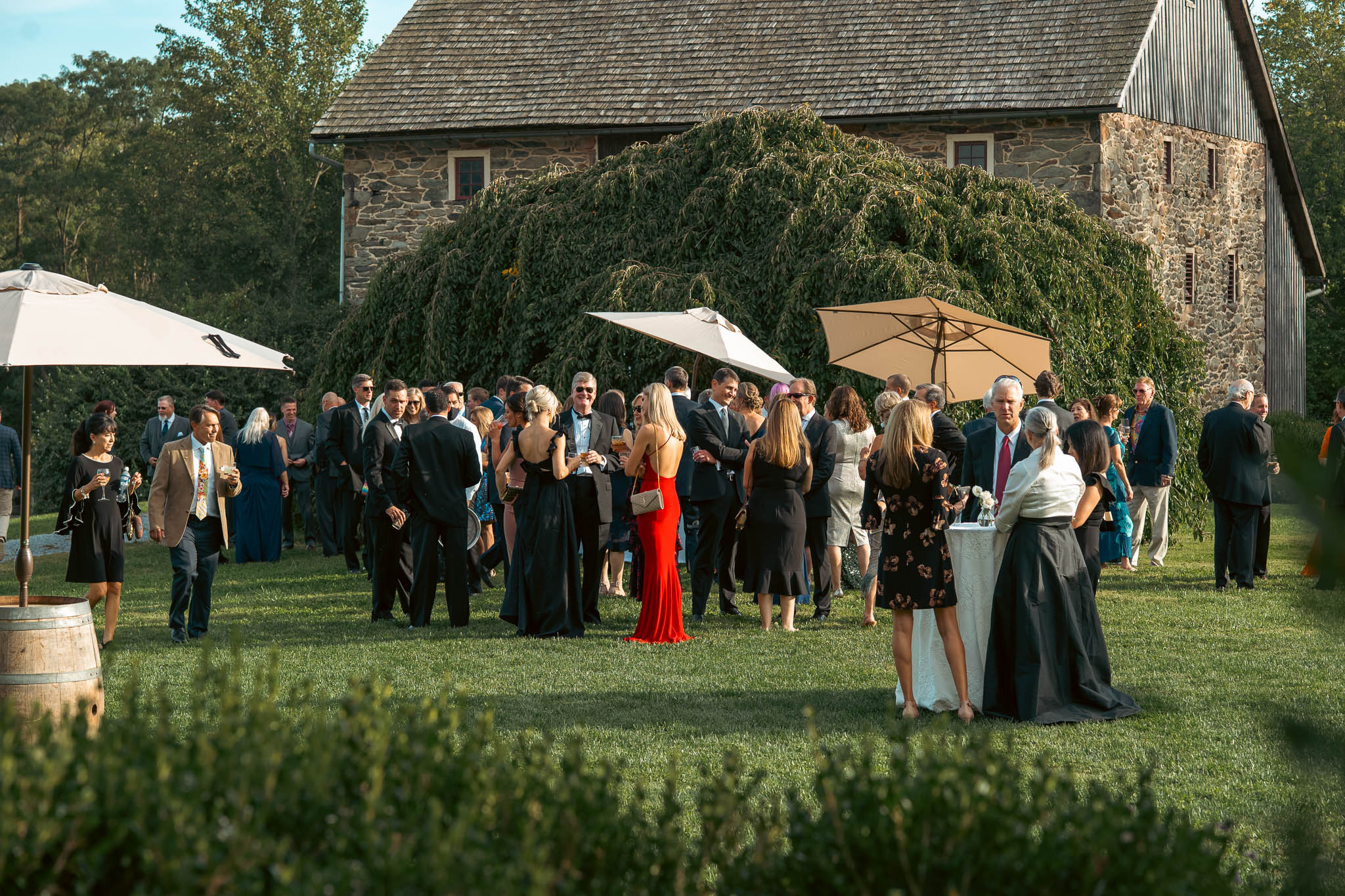 Cocktail hour beside the historic stone bank barn — Sylvanside Farm wedding in Purcellville, Virginia