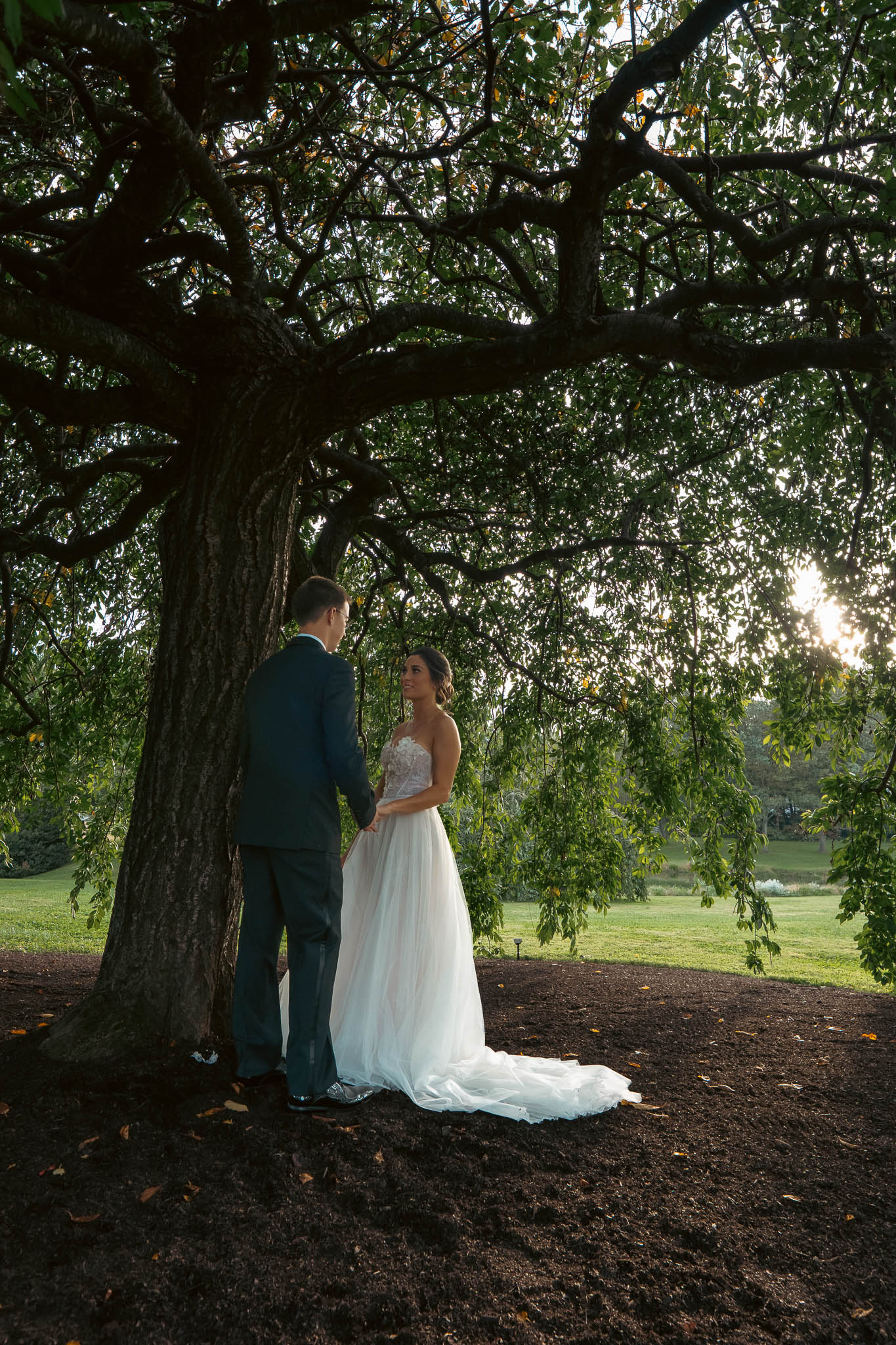 Bride and groom portrait beneath the weeping willow — Sylvanside Farm wedding in Purcellville, Virginia