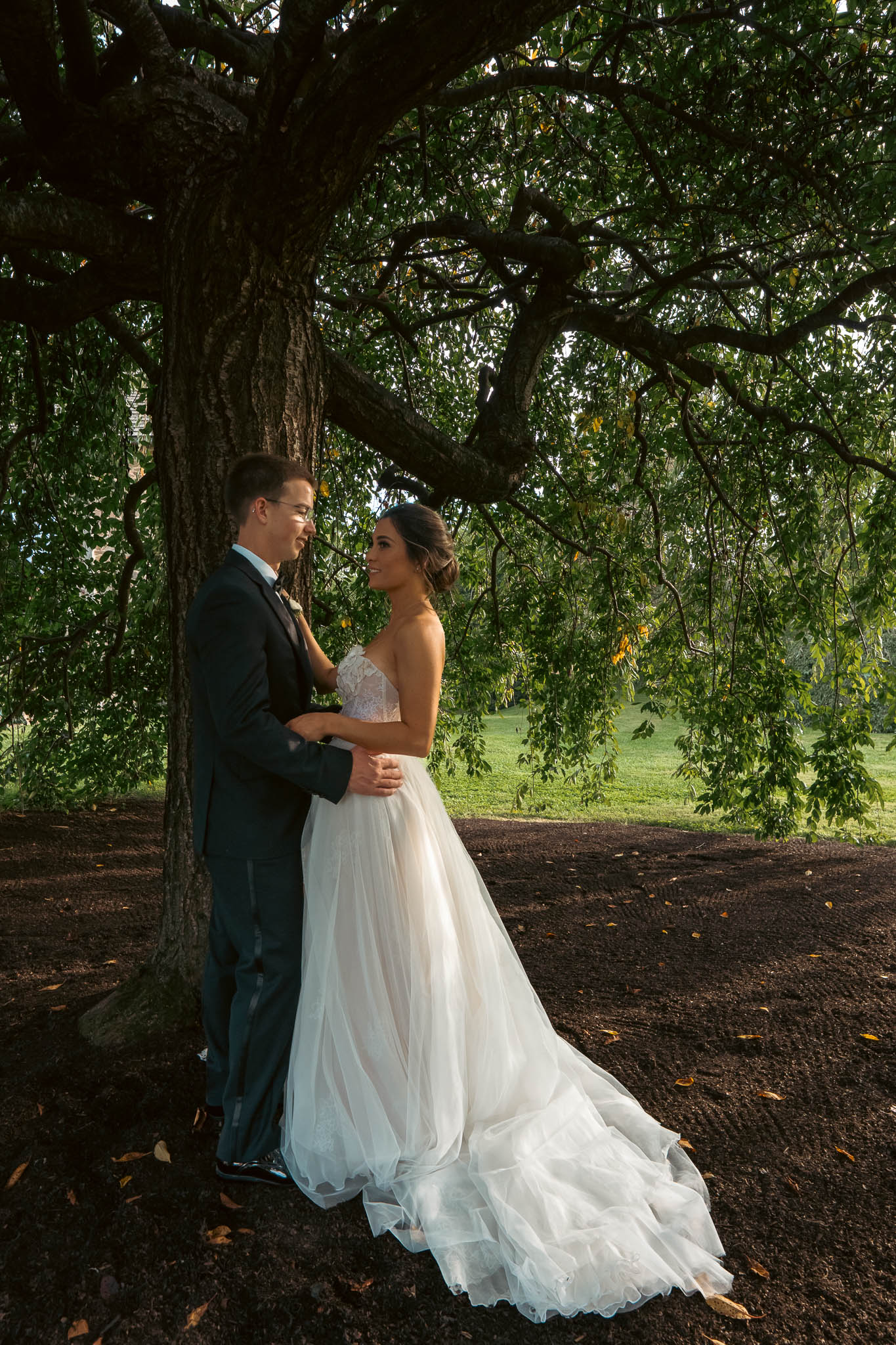 Couple portrait under the willow tree at golden hour — Sylvanside Farm wedding in Purcellville, Virginia