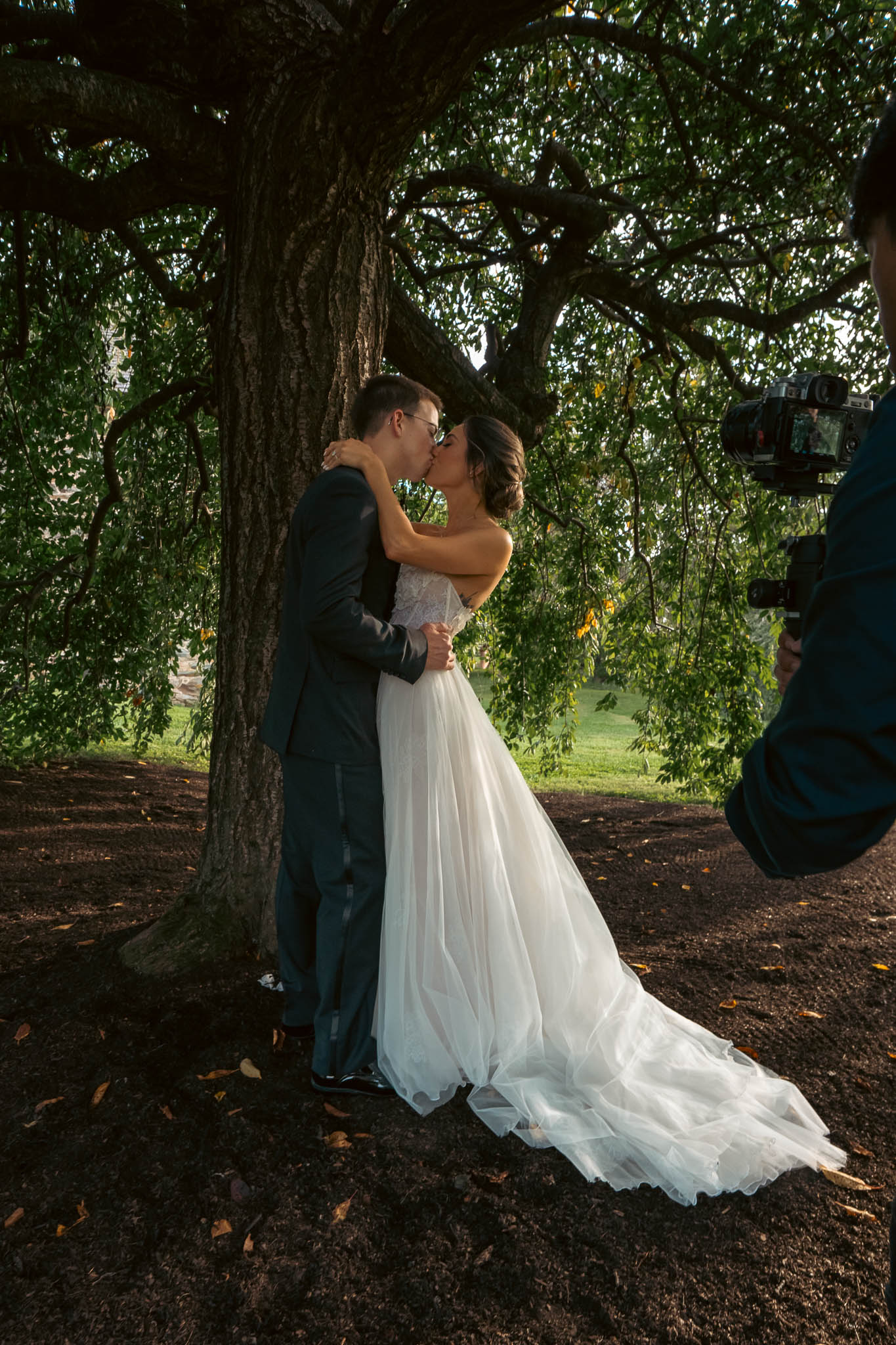 Black and white portrait beneath the weeping willow — Sylvanside Farm wedding in Purcellville, Virginia