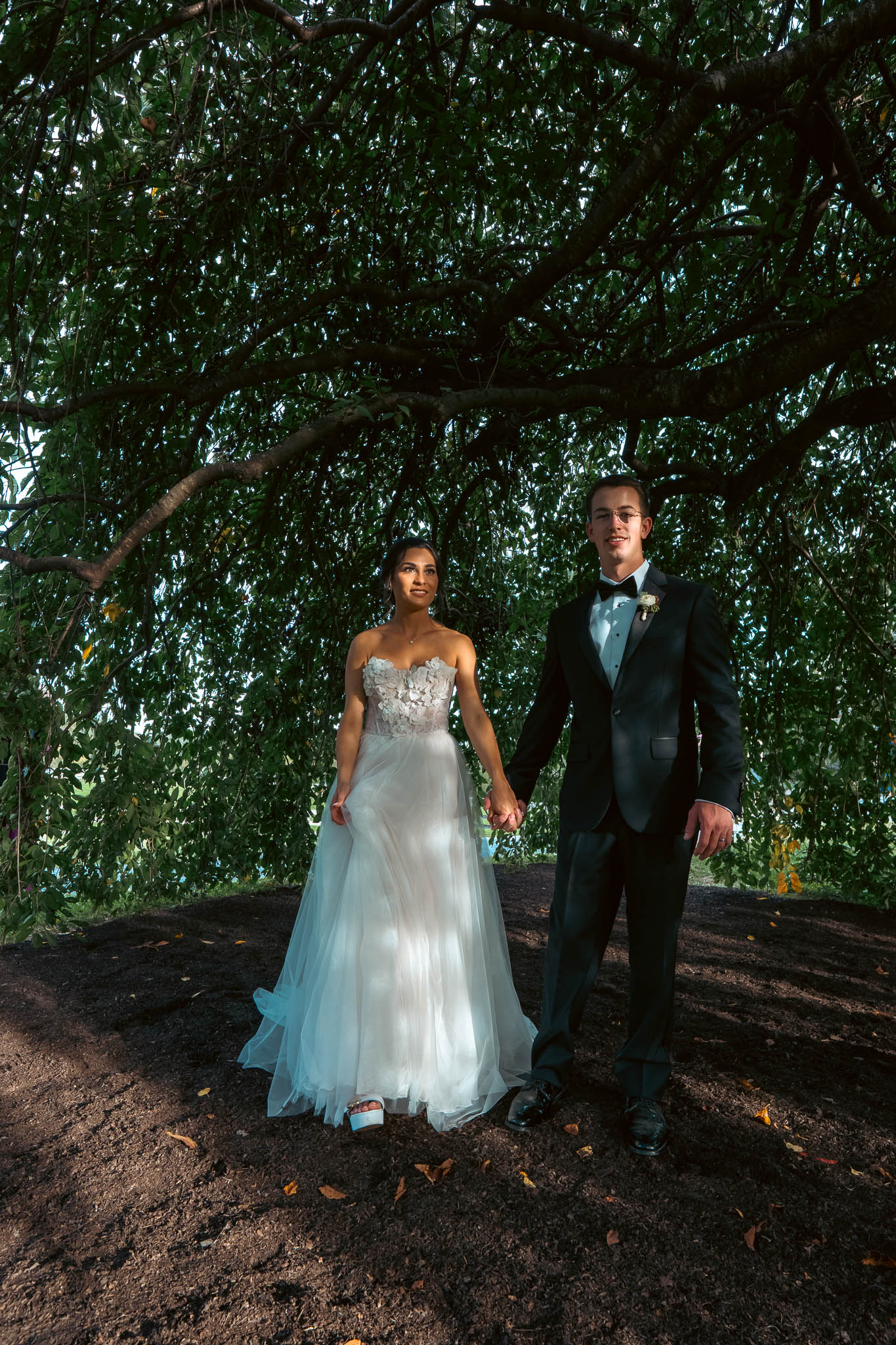 Bride and groom portrait beneath the weeping willow — Sylvanside Farm wedding in Purcellville, Virginia