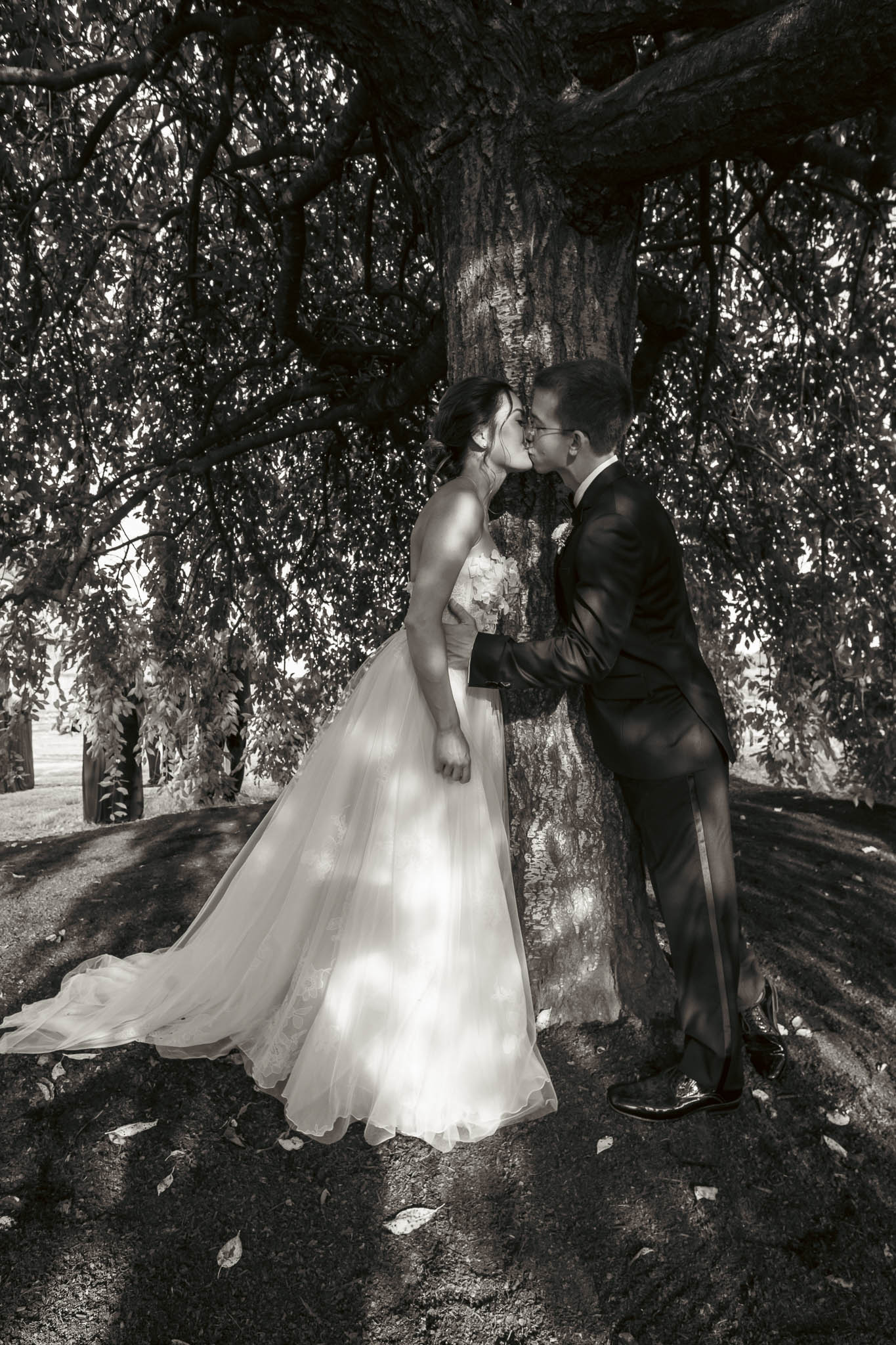 Black and white portrait beneath the weeping willow — Sylvanside Farm wedding in Purcellville, Virginia