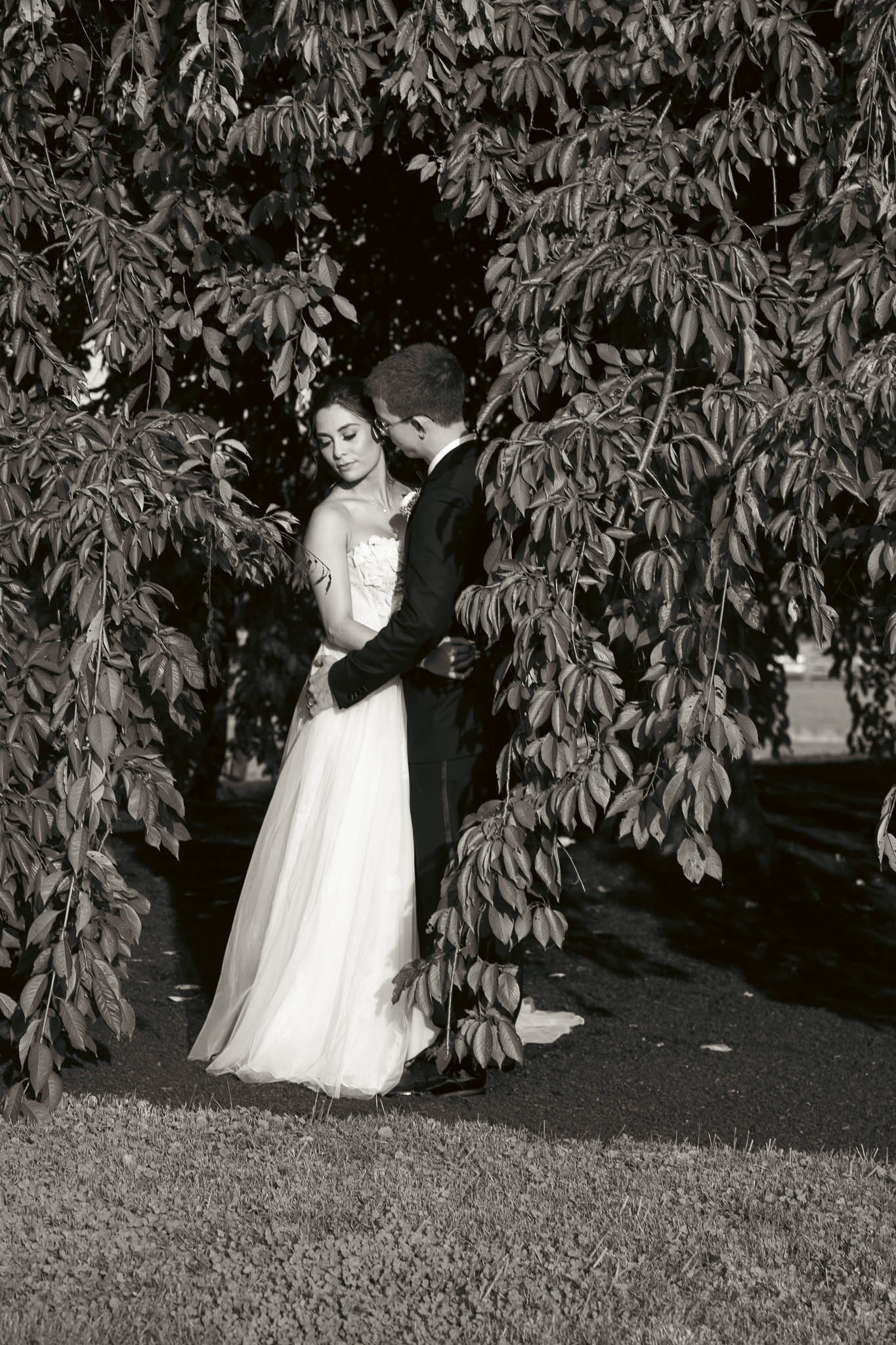 Bride and groom portrait beneath the weeping willow — Sylvanside Farm wedding in Purcellville, Virginia