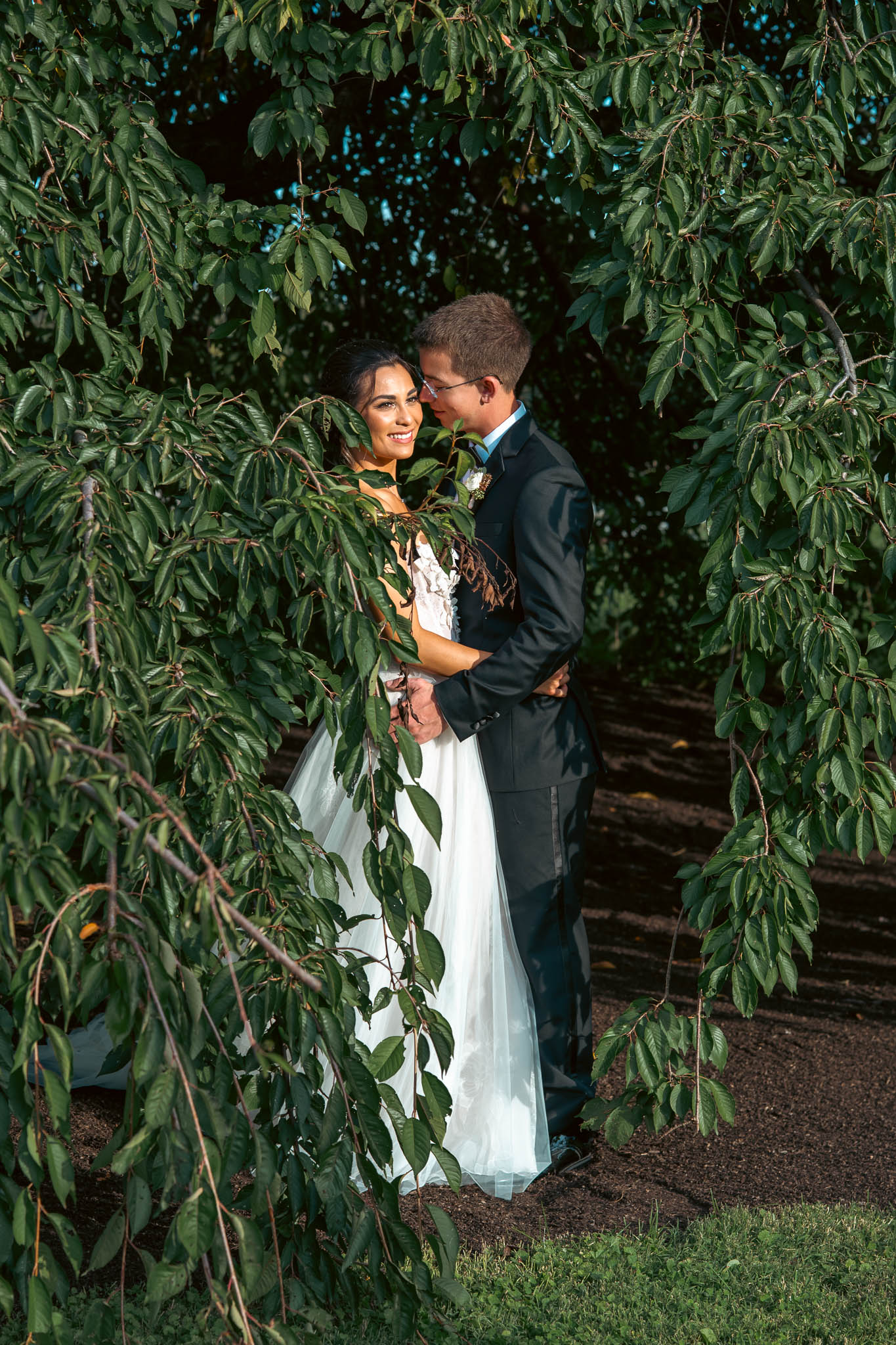 Couple portrait under the willow tree at golden hour — Sylvanside Farm wedding in Purcellville, Virginia