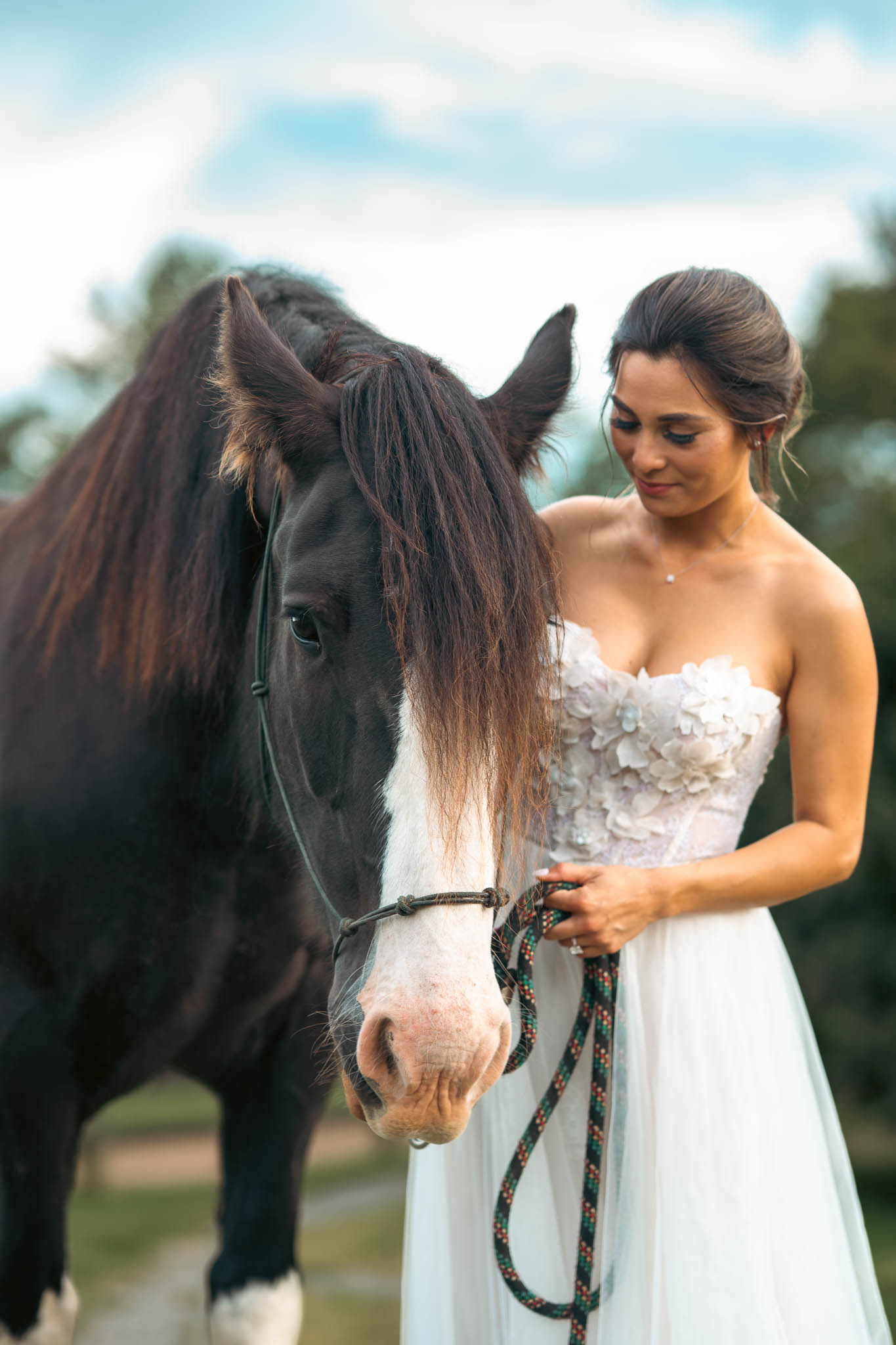 Bride with a draft horse at the paddock at golden hour — Sylvanside Farm wedding in Purcellville, Virginia