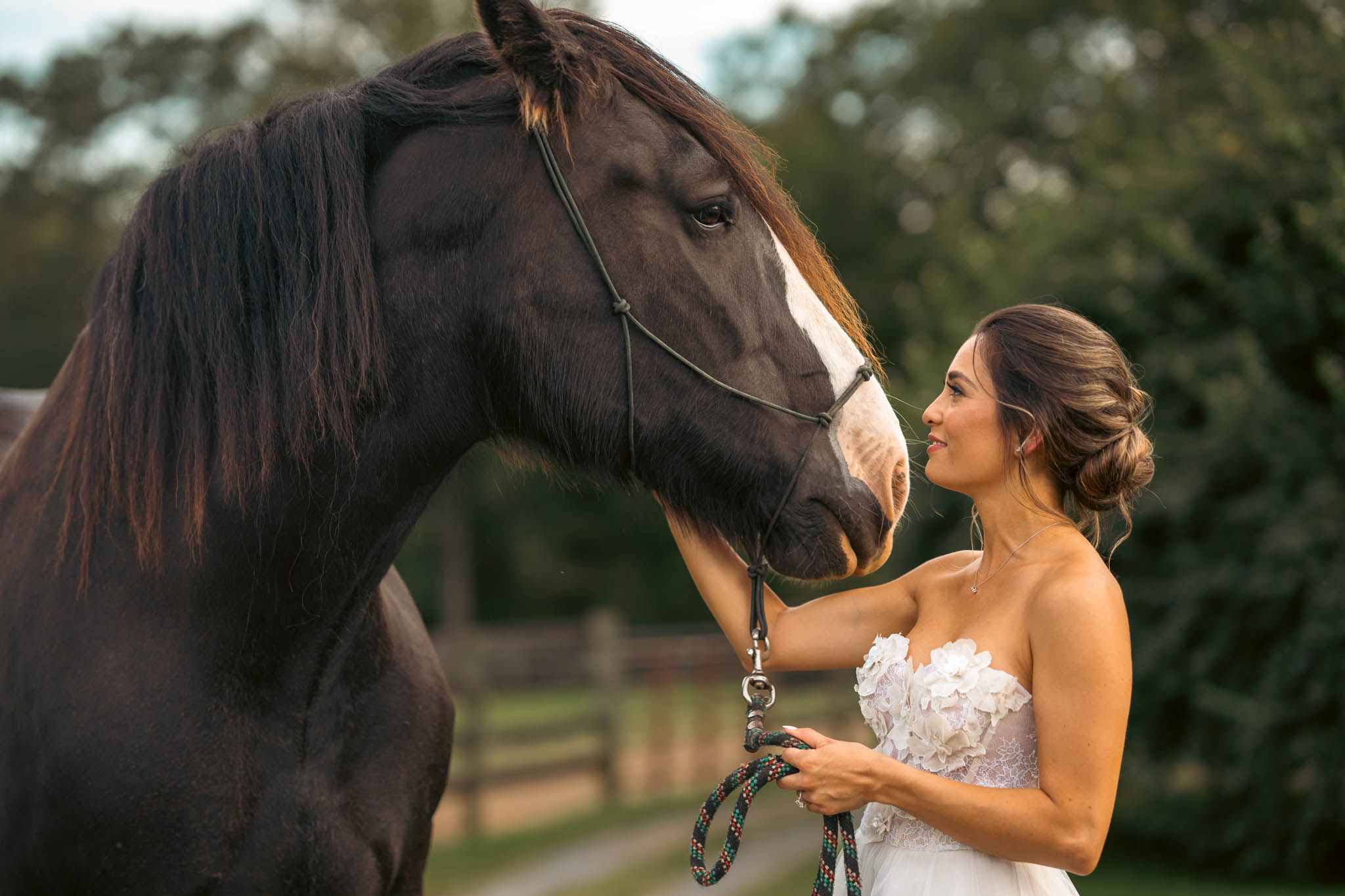 Bride face to face with a black draft horse at golden hour — Sylvanside Farm wedding in Purcellville, Virginia