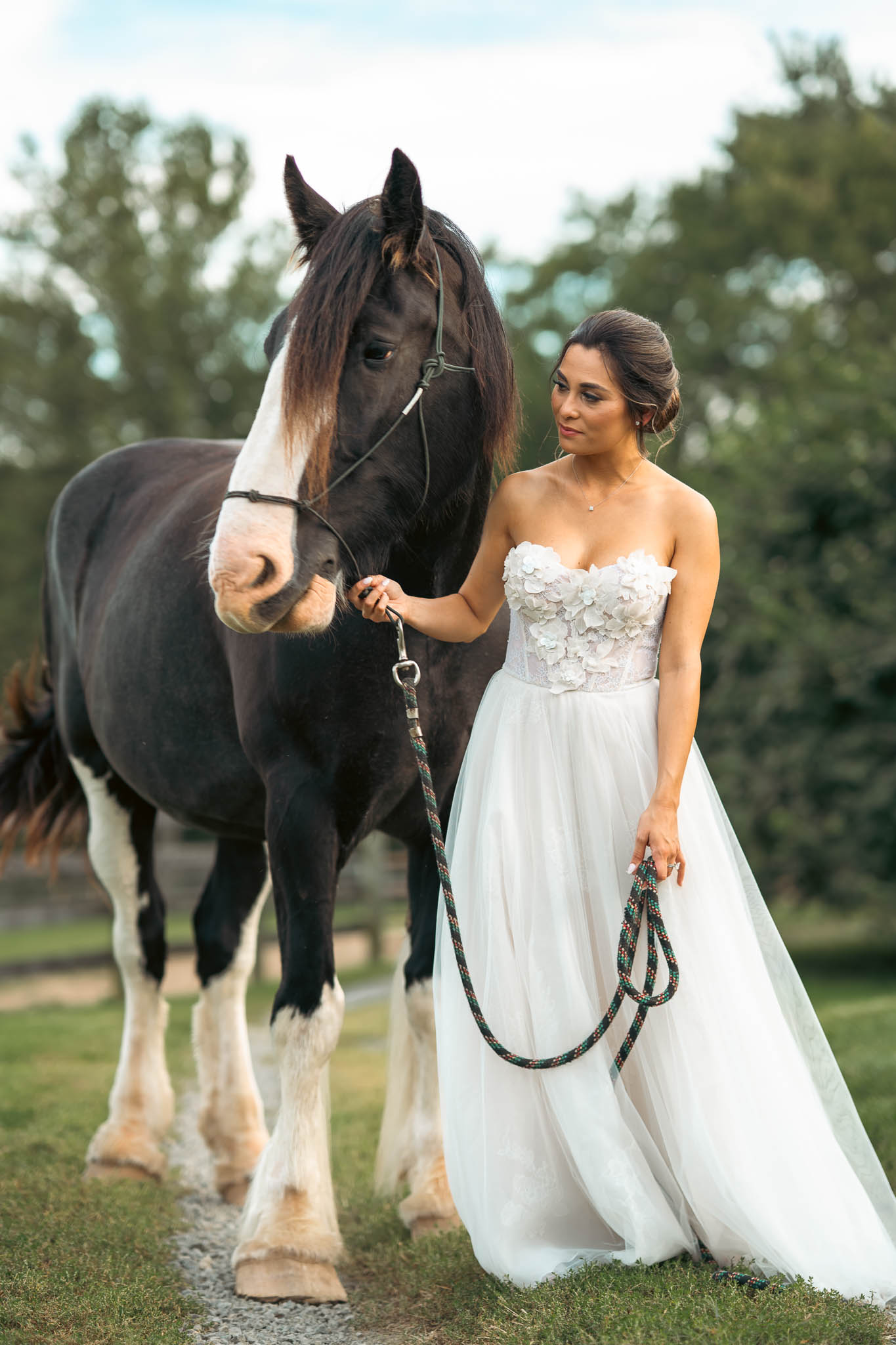 Bride with a draft horse at the paddock at golden hour — Sylvanside Farm wedding in Purcellville, Virginia