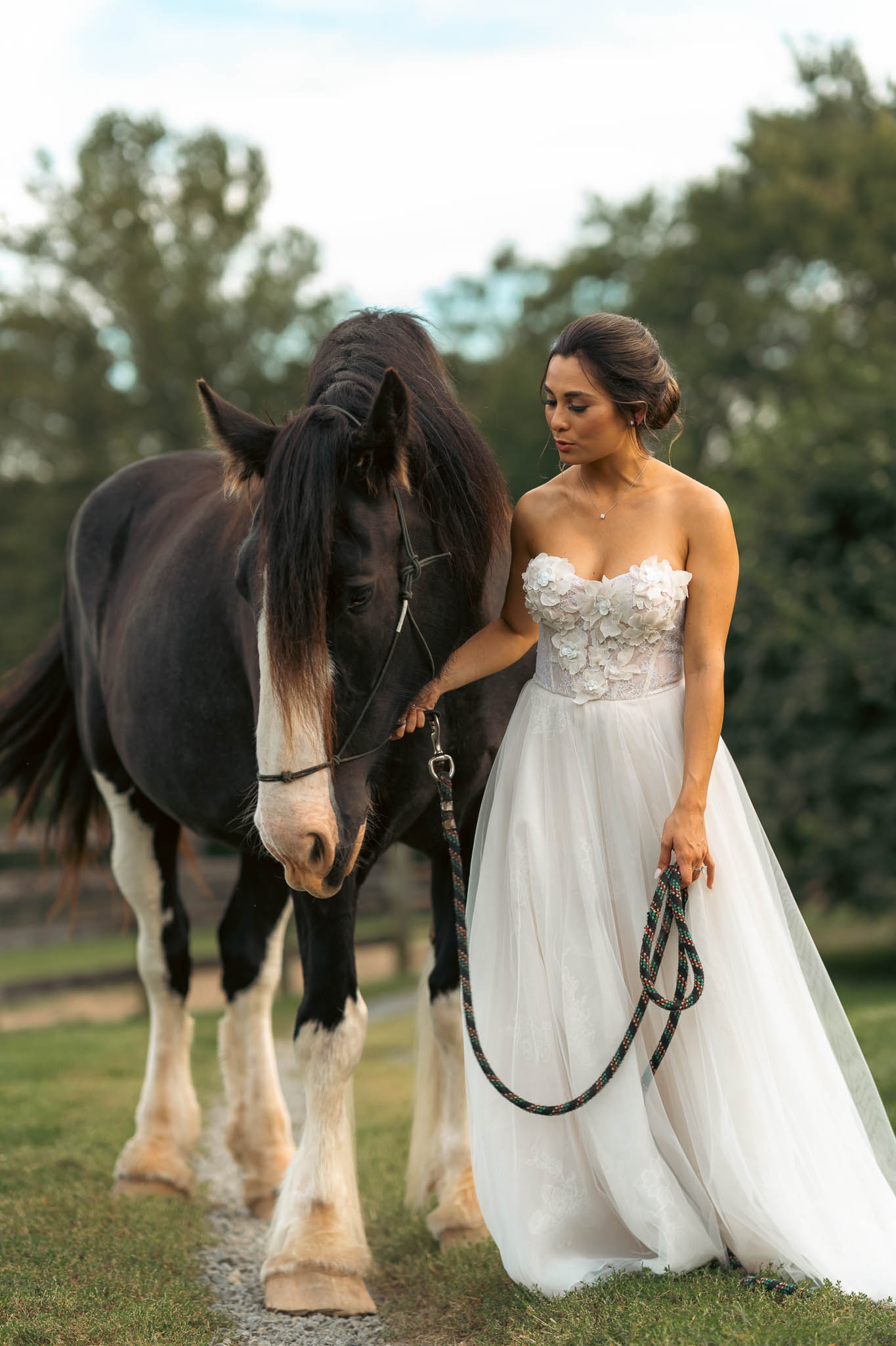 Bride and one of the farm's draft horses in the evening light — Sylvanside Farm wedding in Purcellville, Virginia