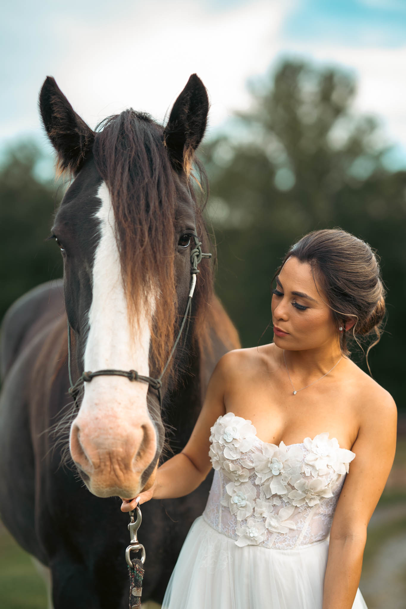 Portrait of the bride with a draft horse in the field — Sylvanside Farm wedding in Purcellville, Virginia