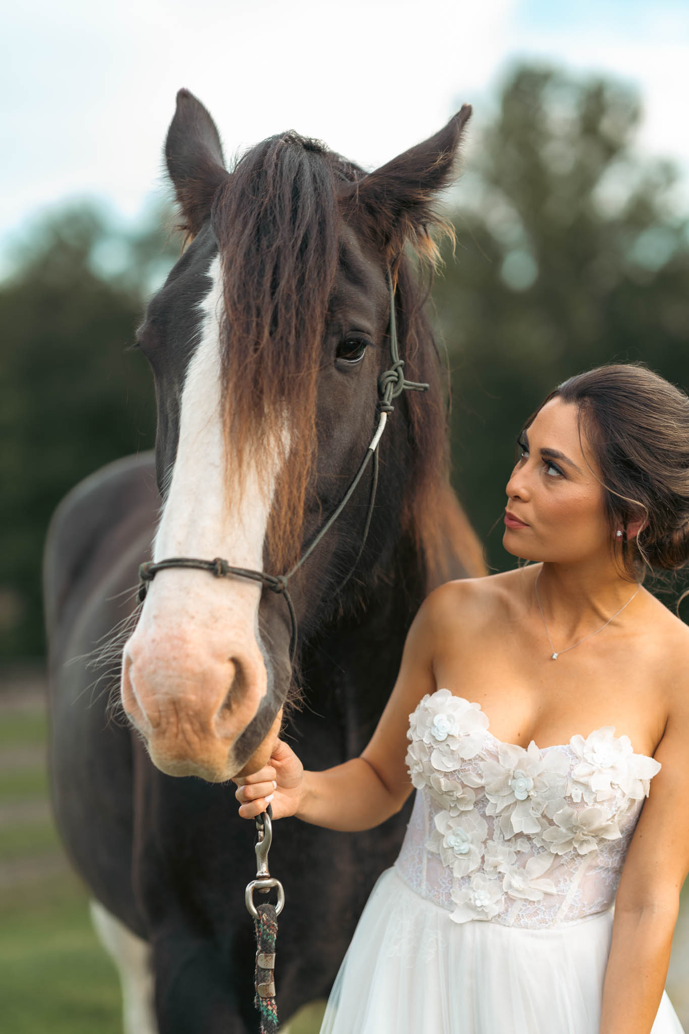 Bride with a draft horse at the paddock at golden hour — Sylvanside Farm wedding in Purcellville, Virginia