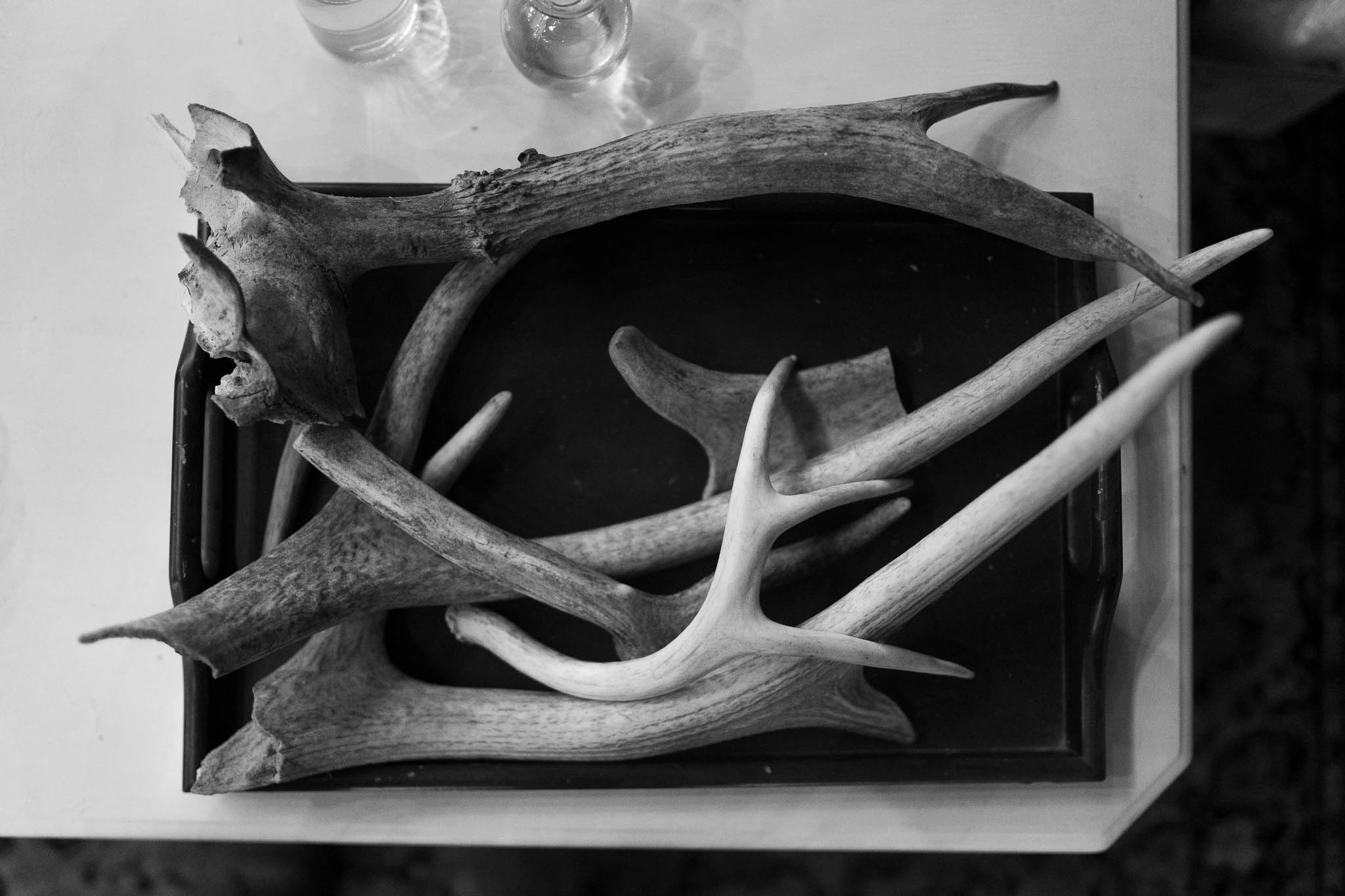 Antler detail at the end of the night — Sylvanside Farm wedding in Purcellville, Virginia